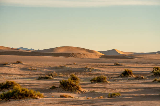 dunas imperiales de arena en el sur de california en dawn - sand dune sand orange california fotografías e imágenes de stock