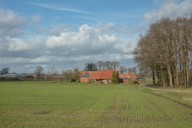 istock farmland in Netherlands 1209125186