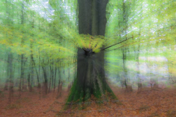 istock summar forest on a bright sunny day. Abstract photo. Colorful textured background. long shutter speed. 1209126589