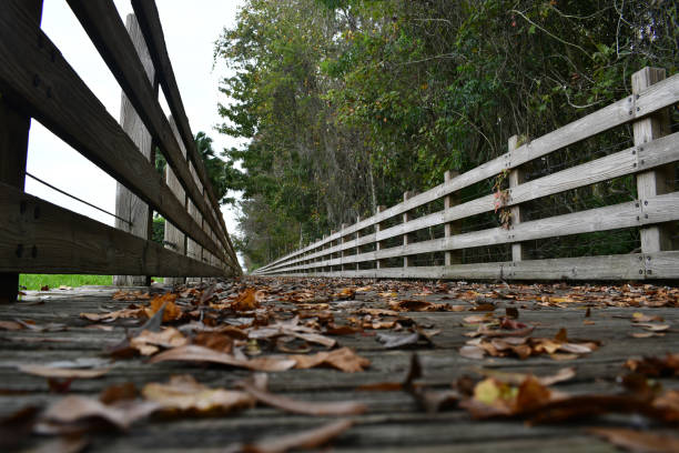 istock Side rail with Boardwalk and leaves with trees 1209127284