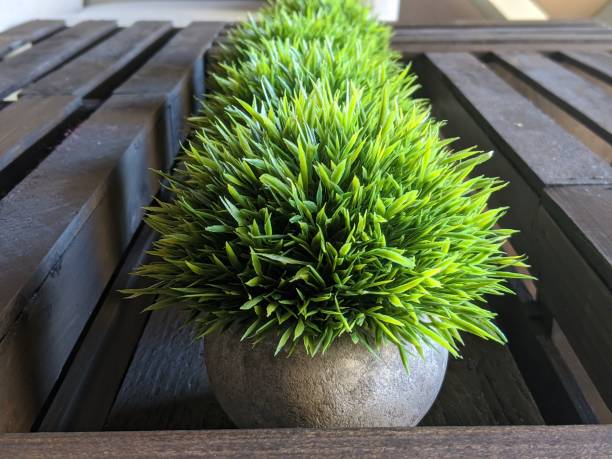 istock Fresh green decor in a row close up 1209128392