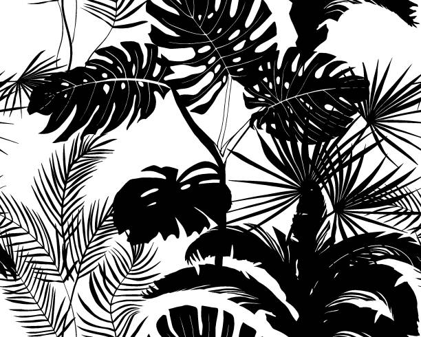 istock black and white seamless pattern of tropical plant silhouettes 1209128851