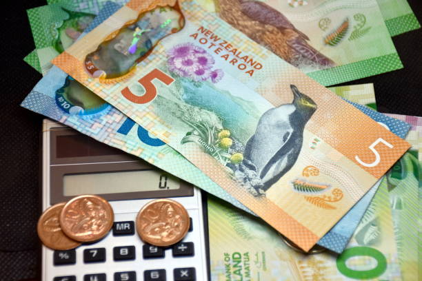 lápiz enfermedad inventar New Zealand Money Dollars With Calculator Stock Photo - Download Image Now  - New Zealand Currency, Calculator, All Australasian Currencies - iStock