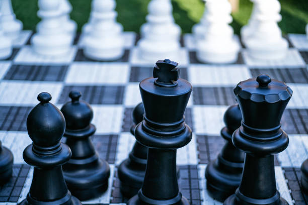 istock Big, garden chess set on the lawn 1209141024
