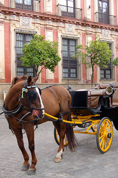 istock Horse and carriage 120914378