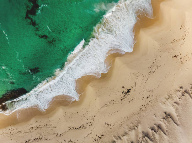 istock Top view drone aerial of sandy beach with breaking waves 1209146344