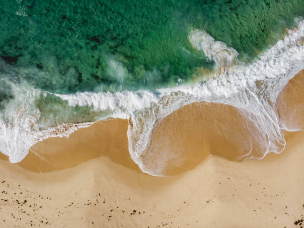 istock Top view drone aerial of sandy beach with breaking waves 1209147337