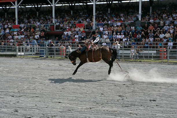 istock Rodeo - Horse Riding 120915682
