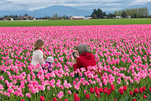 Mount Vernon, Washington USA - March 29th, 2015: Mom and kids taking pictures on the Skagit valley tulip field in Mount Vernon Washington.