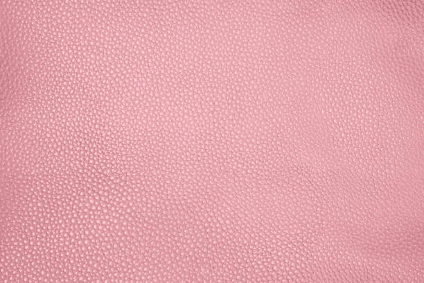 Closeup pink cow leather textured background