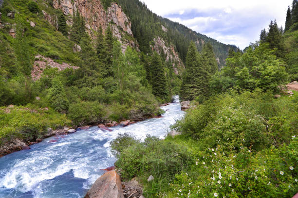 mountain river in Kyrgyzstan . stock photo