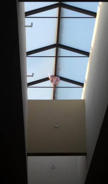 A snapshot of a heart-shaped party balloon resting near the skylight of a local mall.