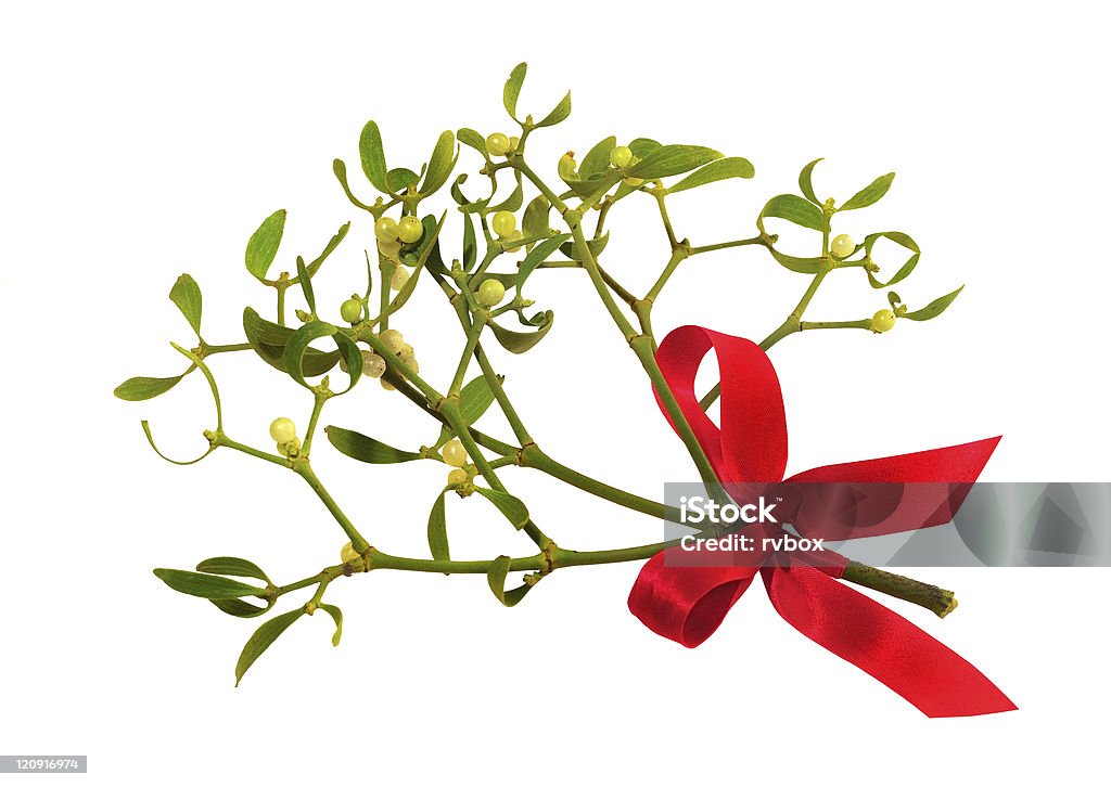 Mistletoe isolated Mistletoe twig with red ribbon isolated over white background. Sprig of mistletoe - a symbol of Christmas, a symbol of fertility, healing, good luck and protection from evil, sometimes mistletoe called "witches broom". Lovers, who at least once kiss under the mistletoe will be happy for life. AIDS Awareness Ribbon Stock Photo