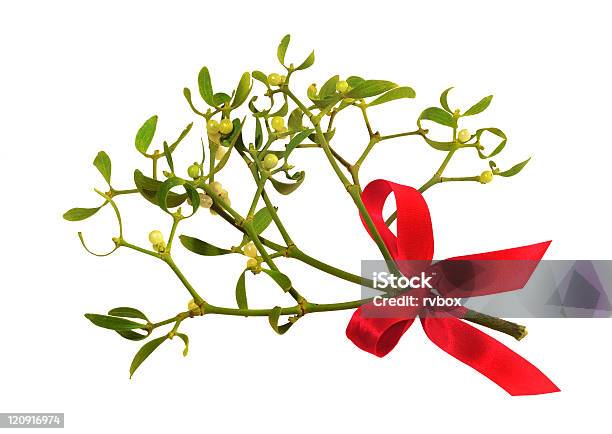 Mistletoe Isolated Stock Photo - Download Image Now - AIDS Awareness Ribbon, Berry, Branch - Plant Part