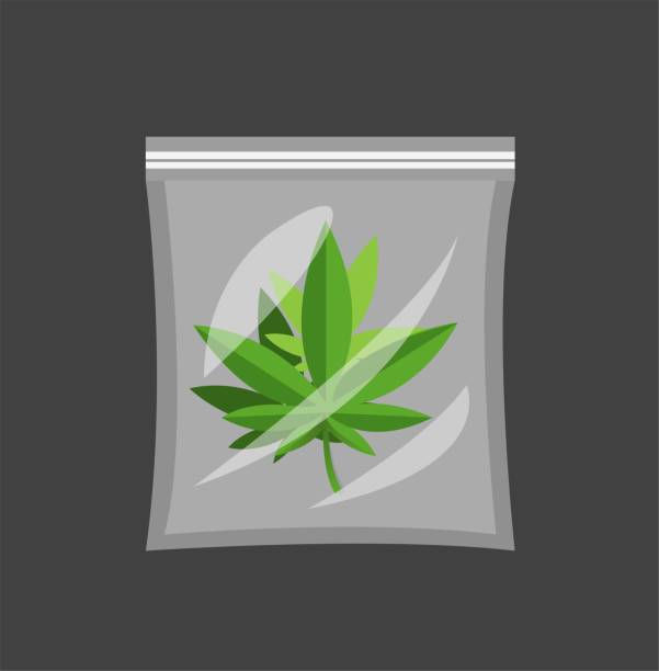 ilustraciones, imágenes clip art, dibujos animados e iconos de stock de hierba en bolsa de plástico, hoja de marihuana de cannabis en paquete de plástico transparente con ziplock dibujos animados vector de ilustración plana aislado en fondo negro - adulador