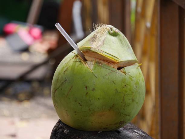 istock Fresh coconut juice from a coconut fruit with straw 1209184650