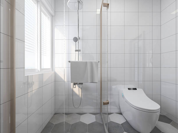 istock 3D rendering,Clean modern residential bathroom and toilet design, which is equipped with washstand, toilet and shower equipment, etc. 1209185587