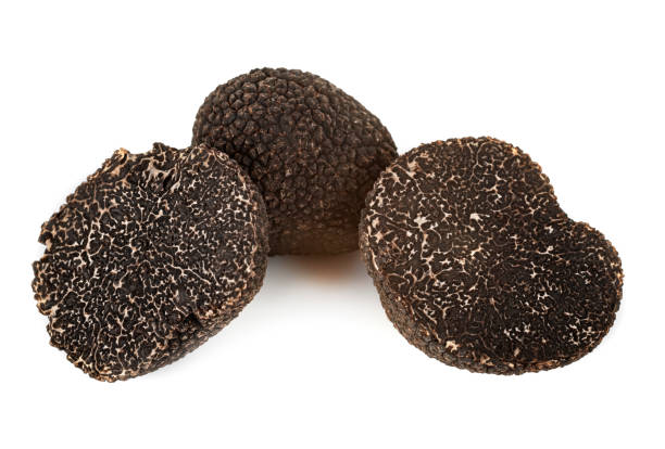 istock Tuber melanosporum 1209188495