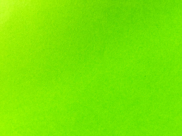 istock light green paper page texture background for design. Top view 1209188804