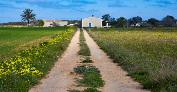 carretera a la casa de el pilar de la mola, formentera, islas baleares - 46334 fotografías e imágenes de stock