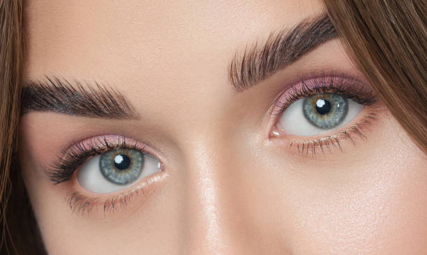 긴 속눈썹, 아름다운 메이크업과 두꺼운 눈썹과 아름다운 여자. 아름다운 파란 눈을 감습니다. 카메라를 보고 있습니다. 전문 메이크업 및 화장품 스킨 케어. - contact lens human eye human face women 뉴스 사진 이미지