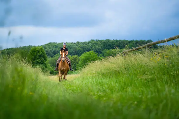 low angle view woman riding her galloping horse over high grass in rural landscape outdoors on overcast summer day