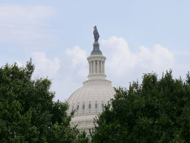 木々に囲まれた米国議会の建物の上。 - capitol hill voting dome state capitol building ストックフォトと画像