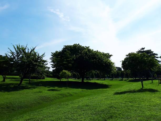 istock Amazing green and blue natural panorama 1209201401