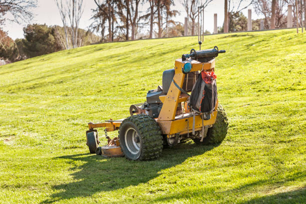 istock view of a lawn mower stopped after carrying out maintenance work in a park . springtime 1209206540