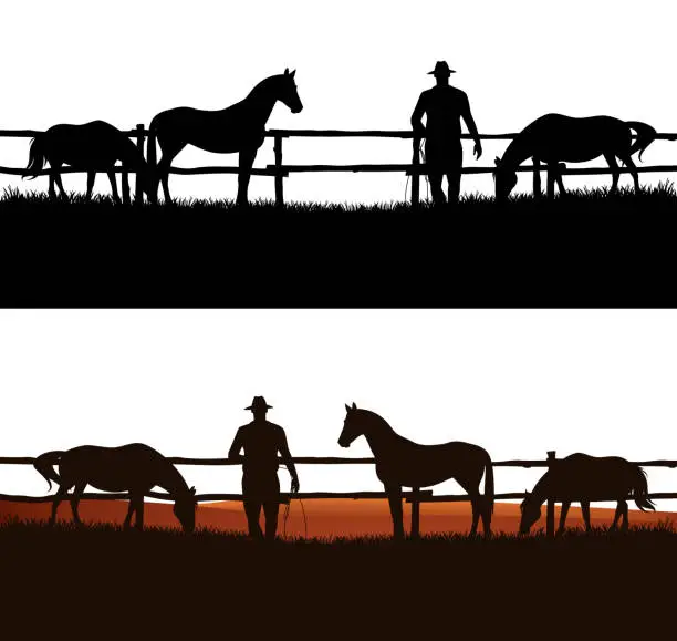 Vector illustration of cowboy rancher and grazing horse herd vector silhouette outline