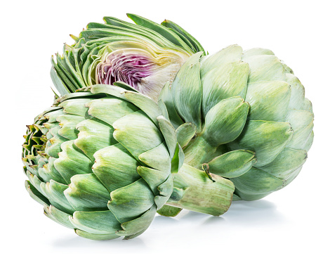 Artischocke (Cynara cardunculus) plant captured during summer season.