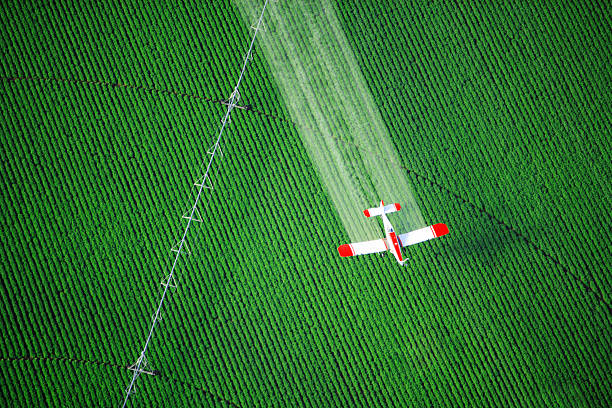 istock Crop duster on top of a dark green cloth 120920755