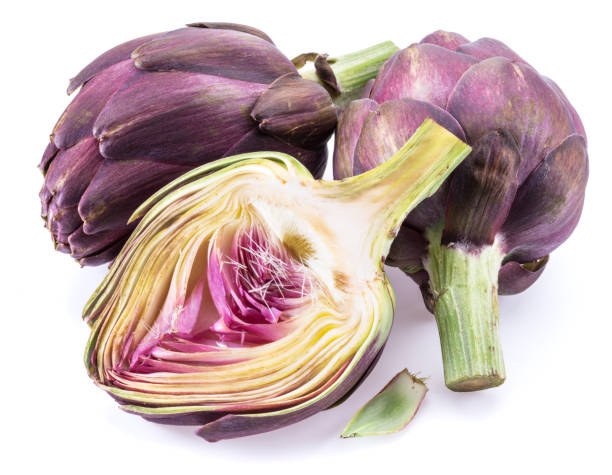 flor de alcachofa, cogollo comestible violeta aislado sobre fondo blanco. - artichoke vegetable macro close up fotografías e imágenes de stock