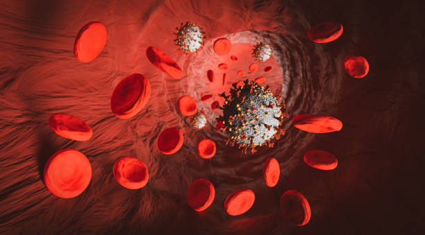 혈액 세포가있는 정맥의 코로나 바이러스 - bacterium biology flowing vascular 뉴스 사진 이미지