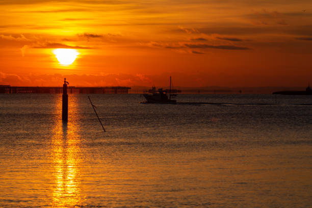istock Tama-gawa at dawn 1209209685