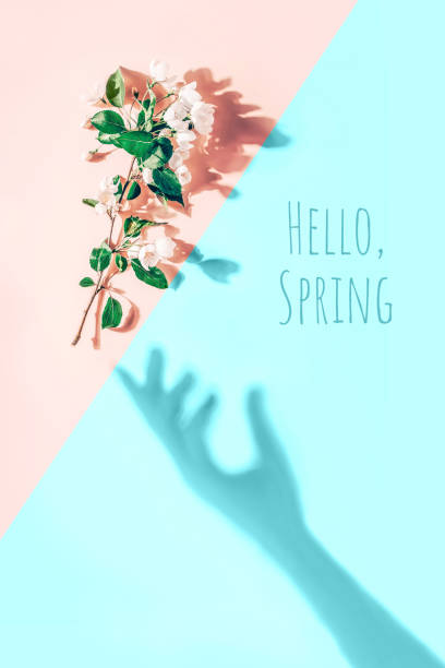 istock Creative layout with a branch of apple blossoms on a pastel pink, blue background. Flat lay. Hello Spring minimal concept 1209209865
