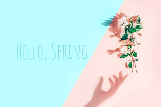 istock Creative layout with a branch of apple blossoms on a pastel pink, blue background. Flat lay. Hello Spring minimal concept 1209209940