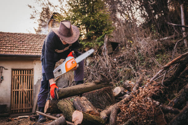 istock Cutting Wood With Electric Chainsaw 1209210244