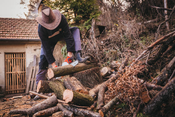 A stack of cut logs highlighting the natural grain, rings, and textures of aged wood.