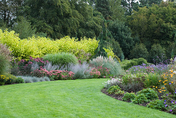 istock Blooming English garden general view 120921668