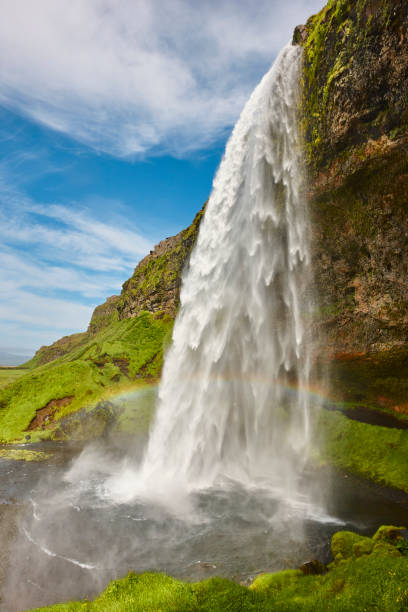istock Seljalandsfoss stunning waterfall and green landscape in Iceland 1209218375