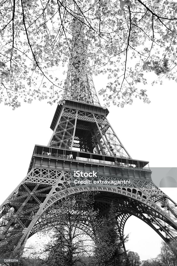 Eiffelturm mit Baum, Paris - Lizenzfrei Abenddämmerung Stock-Foto