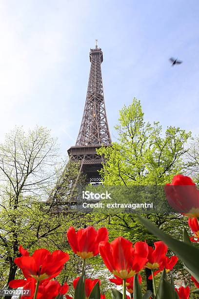 에펠탑 적색 튤립 0명에 대한 스톡 사진 및 기타 이미지 - 0명, 건물 외관, 건축