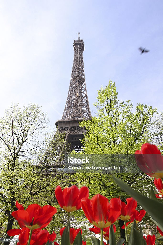 Эйфелева башня с Красные тюльпаны - Стоковые фото Архитектура роялти-фри