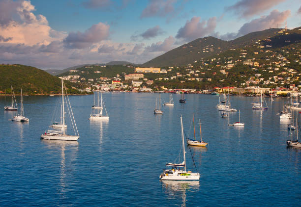 istock White Yachts in Bay at Dusk 1209222760
