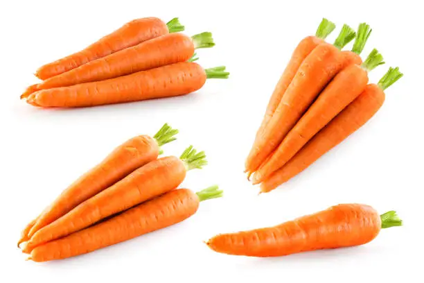 Carrot isolate. Carrots on white background. Carrot top view, side view.