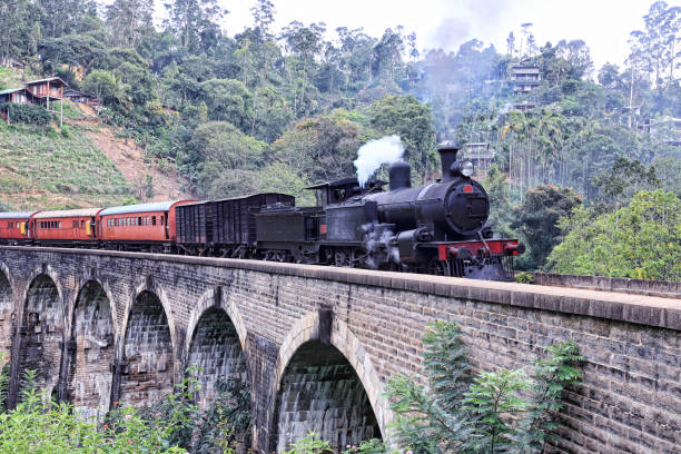 istock Steam train on the Nine Arches Demodara Bridge 1209222881
