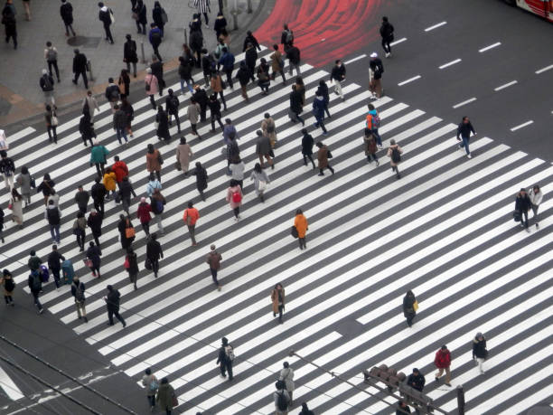 istock Top down view of Tokyo pedestrian crossing 1209225938