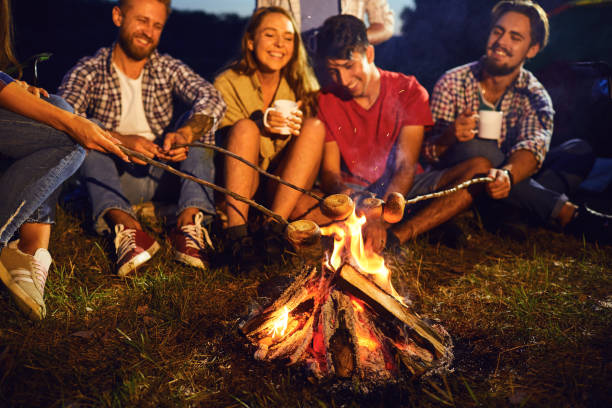 istock Campfire travel picnic camping trip concept. 1209226501