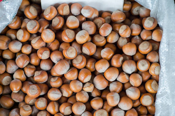 Selected hazelnuts in a polypropylene white bag on the store counter. Background. The view from the top.